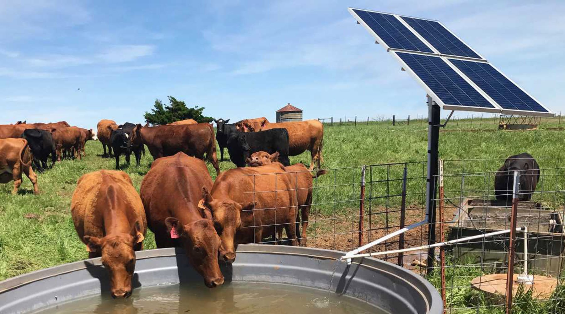 bomba de riego solar