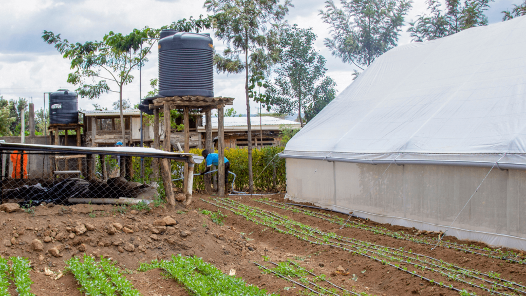 Bomba de agua solar para el riego.